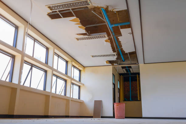 Best Basement water damage restoration  in Lampeter, PA