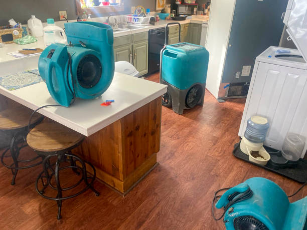 Best Local water damage restoration  in Lampeter, PA