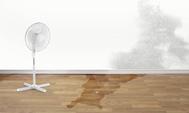 Best Water damage restoration near me  in Lampeter, PA