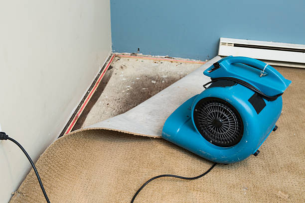 Best Flood restoration services  in Lampeter, PA